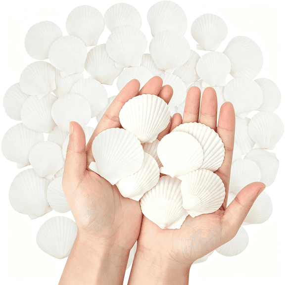 LQSEO 50 Pcs Natural Sea Shells 1.6" to 2" White Scallop Shells for Diy Painting Crafts,Wedding Decor,Beach Theme Party,Aquarium Fish Tank and Vase Filler