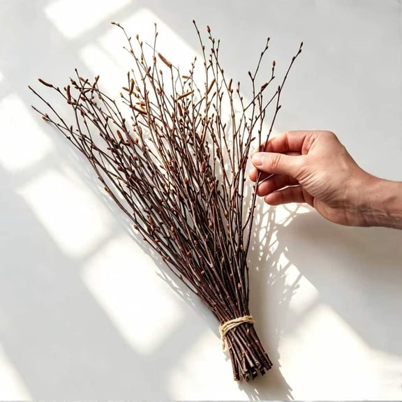 LQSEO Natural Birch Branches,30 Pcs Dried Twigs and Branches for Vases,17" Tall Real Wood Sticks for Floor Vase Filler,Boho Rustic Home Decor,Wedding Centerpieces Arrangement