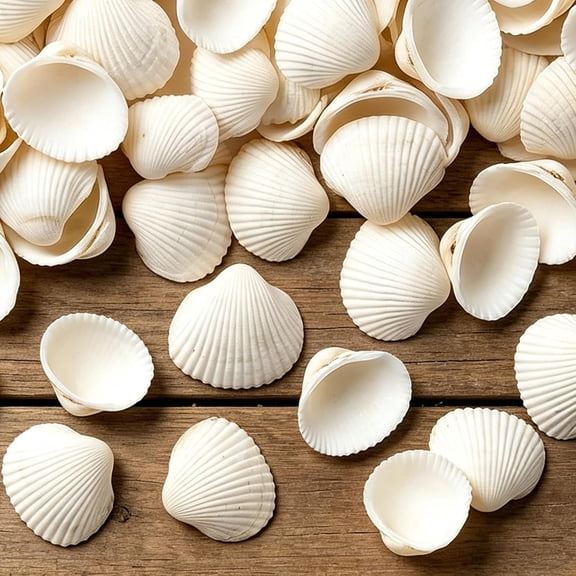 LQSEO Natural White Seashells for Crafts-Small Clam Shells 0.8-1.2In Tiny Natural Seashells for Diy Crafting,Vase Filler,Beach Wedding,Coastal Decor,Resin Art,Party Tables&Home Displays