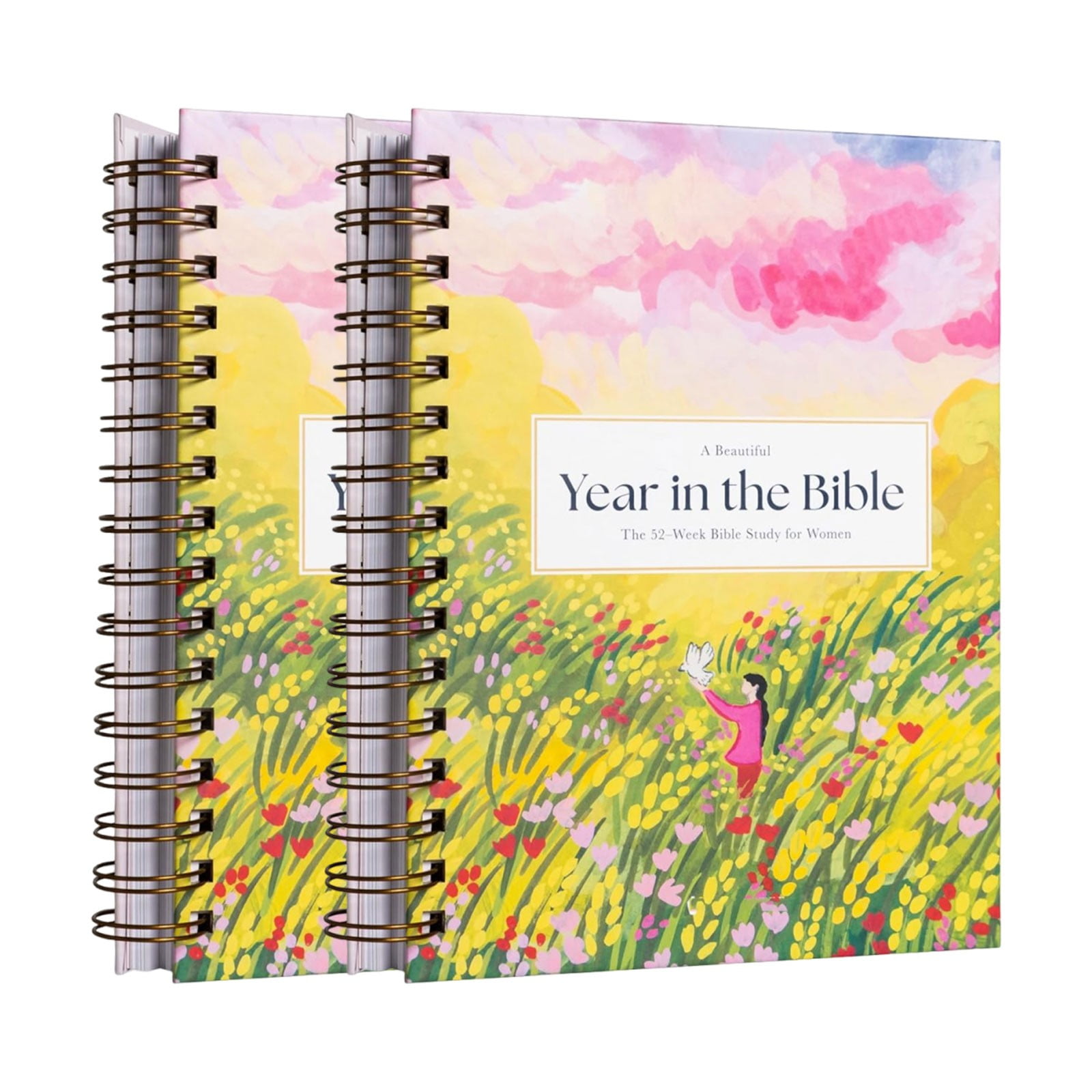 LQXZWJY A Beautiful Year in the Bible : The 52 Week Study for Women ...