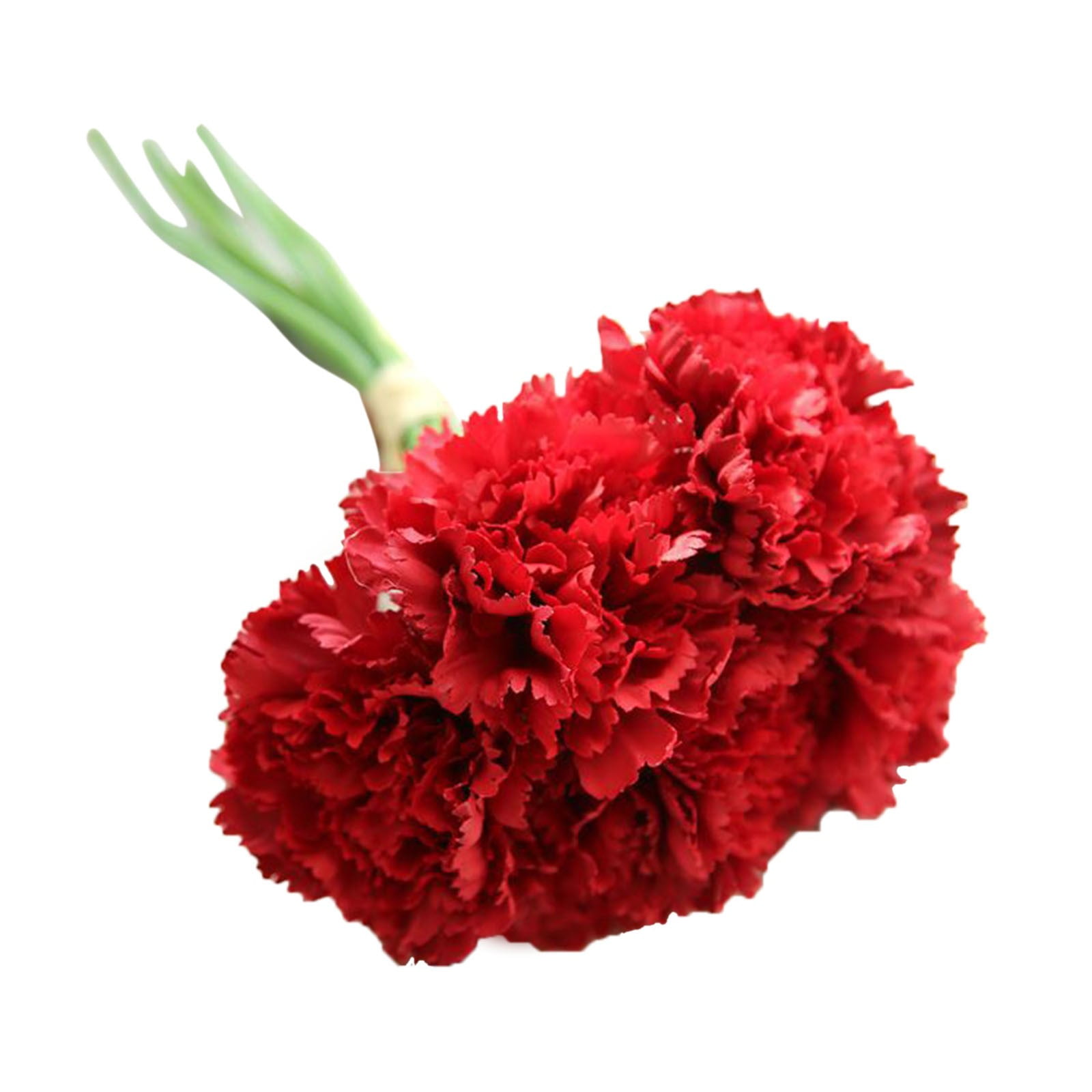 LQXZWJY Carnation Bouquet Holding Flowers Mother's Day Simulation
