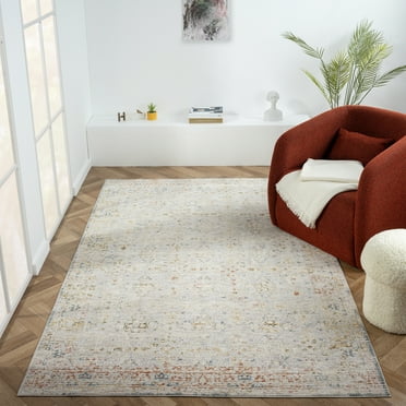 LR Home Alison Sandy Bordered Floral Indoor Polyester Area Rug, Light Gray/Blue, 2' x 3'