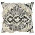 thumbnail image 1 of Ox Bay Ranch Indoor Throw Pillow, Ivory / Black, 20 in. Square, Count per Pack 1, 1 of 4