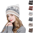 thumbnail image 1 of LRGSHF Women Cute Cat Ear Shaped Knit Hat, Vintage Cuffed Winter Hat Warm Ear Protection Pullover Cap, 1 of 4