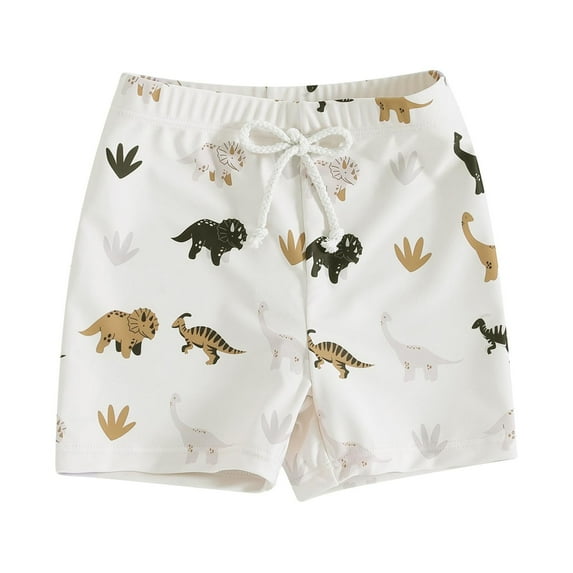LRen Boy Swim Set Size 10-12 Cartoon Dinosaur 2pcs Bathing Suit Kids Beach Casual Casual Fashion Relaxed Fit Beach Swimming Shorts