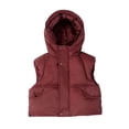 thumbnail image 1 of LRen Boys Puffer Vest Hooded Quilted Outwear Sleeveless Jacket Lined Zipper Waistcoat,5-6 Years,Z2-Brick Red, 1 of 5