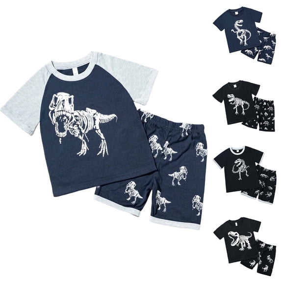 LRen Toddler Boys Outfits Cute Dinosaur Graphic Print T Shirts Shorts Summer Short Sleeve Cotton Round Neck Kids 2PCS Sets Clothes