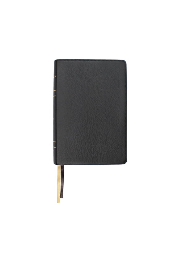 LSB Legacy Standard Bible/Large Print Wide Margin Bible-Black Paste Down Faux Leather Indexed