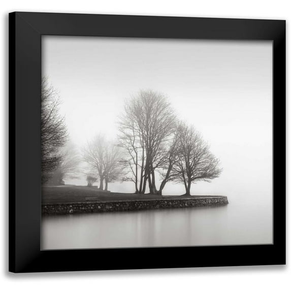 LSH 20x20 Black Modern Framed Museum Art Print Titled - Fog and Trees at Dusk