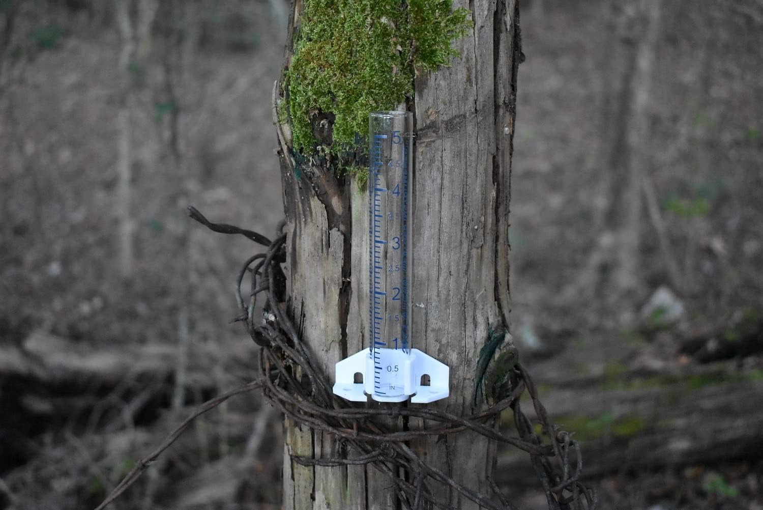 LSKJGA-SkyView Glass Rain Gauge, 5in / 12cm Capacity - (Includes Mounting Hardware, (1) Glass Tube and (1) Replacement)