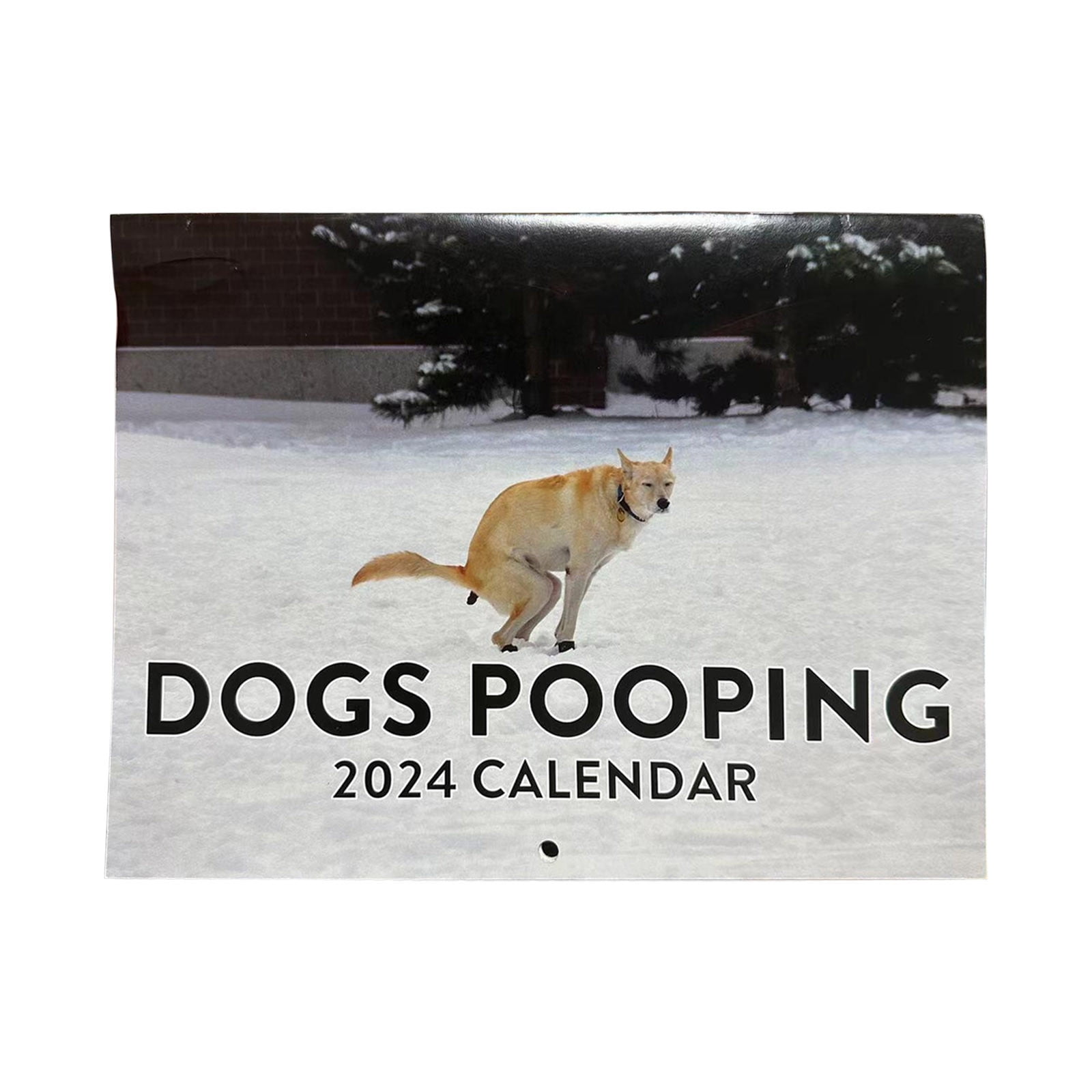LSLJS 2024 New Calender, Funny Dogs Pooping Monthly Wall Calender 9x11