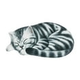 thumbnail image 1 of LSLJS 3D Cat Bathroom Rugs Cute Sleeping Cat Printed Mat 30"x15.7" Super Absorbent Non-Slip,Quick Dry, Ultra Soft And Comfortable Carpet For Shower Room,in Front of Bathtub, Bedroom on Clearance, 1 of 5