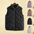 thumbnail image 1 of LSLJS Puffer Vest for Women Winter Fleece Plus Size Stand up Collar Vest Jackets Warm Casual Solid Color Outwear Coats with Pockets, 3XL-5XL, 1 of 4