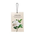 thumbnail image 1 of LSLXA Car Air Freshener Lavender Scented Sachets Odor Eliminator & Air Freshener For Drawer, Closet, Car, Shoes, Gym Bag, Suitcase, 1 of 5