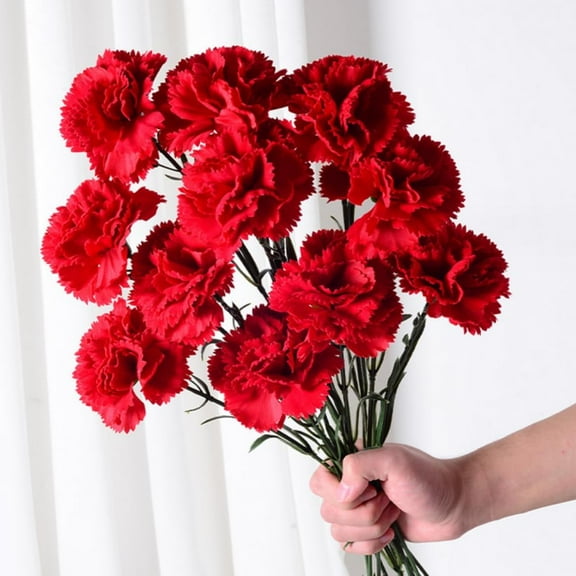 LShunze Artificial Red Carnations Flowers 10Pcs Silk Cartions Red Flowers with Long Stem for Tall Vase Wedding Bouquets Home Table Centerpieces Floral Arrangements