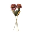thumbnail image 1 of My Texas House Fall Faux Rose Bundle, Light Brown, 20", 1 of 5