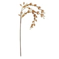 thumbnail image 1 of My Texas House Fall Faux Thistle Stem, Light Brown, 34.2", 1 of 5