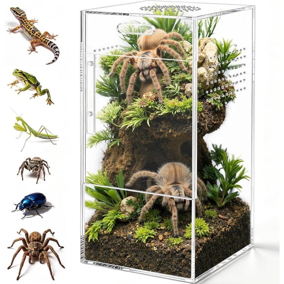 LTECARP 5"x 5"x 10" Pre-Assembled Jumping Spider Enclosure, Acrylic Terrarium with Magnetic Door & All-Side Ventilation, Habitat for Spiderling, Mantis, Tarantula, Snail