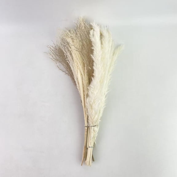 LUCKY BAMBOO Flowers, dried, for decoration, dried, for decoration,Natural Dried Flower Bouquet - Pampas Grass, Cotton Stems, Bunny Tails, Eucalyptus, Lavender & Wheat