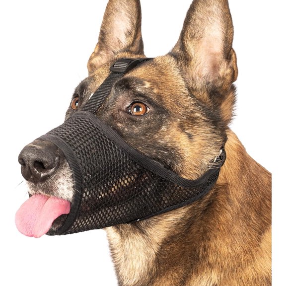 LUCKYPAW Dog Muzzle, Mesh Muzzle for Large Medium Small Dogs, Soft Mouth Guard to Prevent Biting Chewing with Adjustable Head Strap, Perfect for Vet Visit(Black, S)
