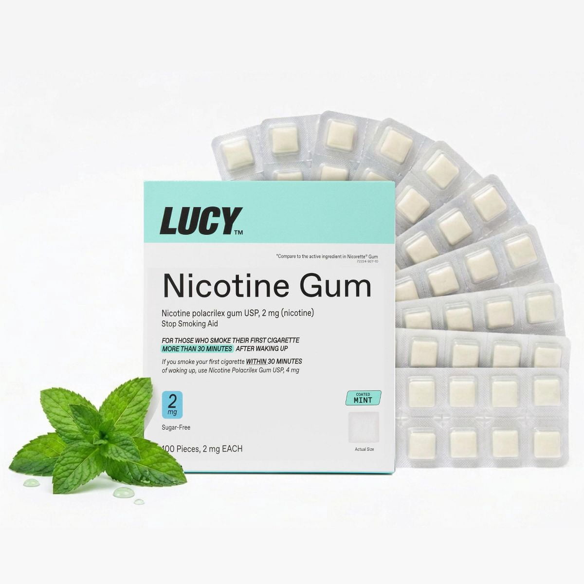 how to smoke mint cigarette Drug Facts Nicorette Gum Stop Smoking Aid