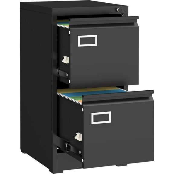LUCYPAL 2 Drawer File Cabinet with Lock,Metal Filing Cabinets for Home Office,Locking Storage Cabinet for Letter/Legal/A4 Files,Assembly Required(Black)
