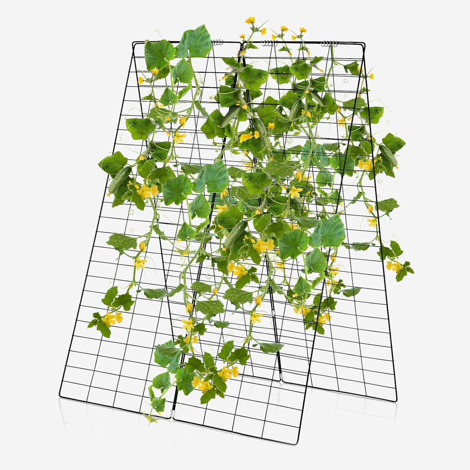 LUDYSHARE 46 x 34 Inch Cucumber Trellis for Garden, 4 PCS Foldable A-Shape Plant Support W/18 Clips, 8 Ground Stakes, 4 Spiral Connectors, 12 Cable Tie, Twist Tie, Garden Trellis for Climbing Plants
