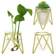LUIISIS 3 Pcs Plant Terrarium with Metal Stand, 2.5 x2.9 inch Glass Bulbs, Air Plant Holder, Desktop Hydroponics Plant Propagation Set for Indoor Home Office Decoration(Black)