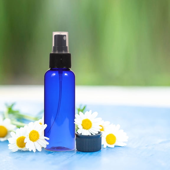 LULULION 10Pcs Blue Plastic Travel Spray Bottles Refillable Perfume and Cosmetic Mist Containers
