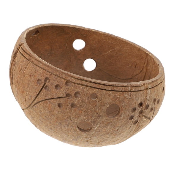 LULULION 1Pc Coconut Shell Hanging Flower Pot Khaki Decorative Bonsai Plant Holder