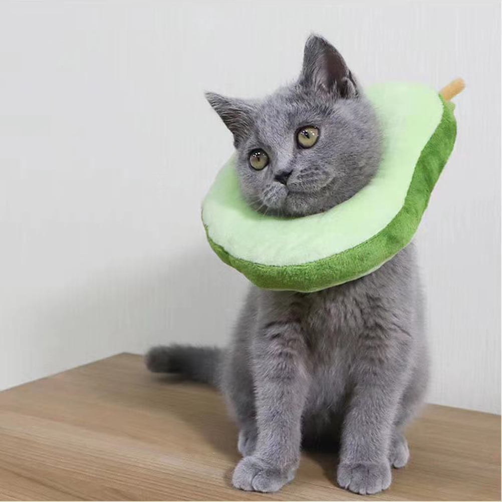 Scratch Prevention For Cats Collar preview