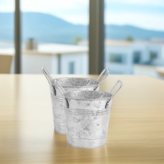 LULULION 2Pcs Small Galvanized Metal Buckets Vintage Planter Pots for Indoor Outdoor Use