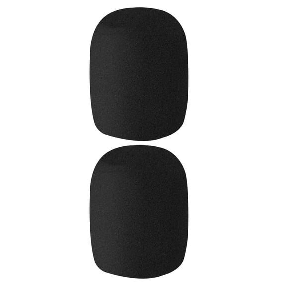 LULULION 2Pcs Handheld Microphone Covers Black Sponge Material Washable Mic Protectors