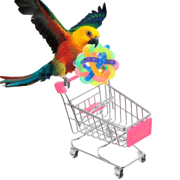 LULULION 2pcs Bird Bite Toy Wear Resistant Silver Improve Balance for Training Time