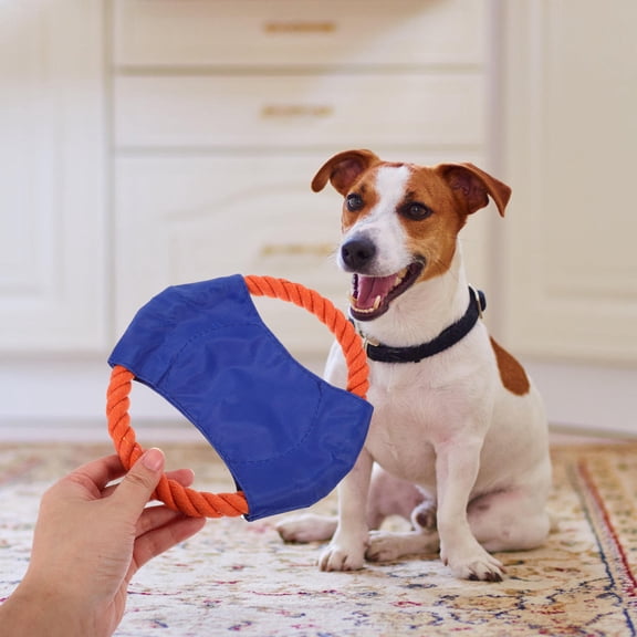 LULULION Wear-Resistant Dog Throwing Plate Multi Polyester and Canvas