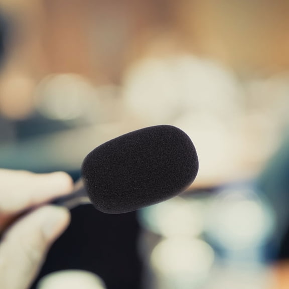 LULULION 5Pcs Black Microphone Dust Covers Sponge for Interviews and Performance