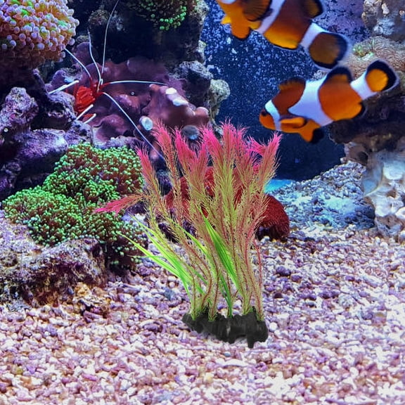 LULULION Betta Fish Tank Decor Natural Style 1Set