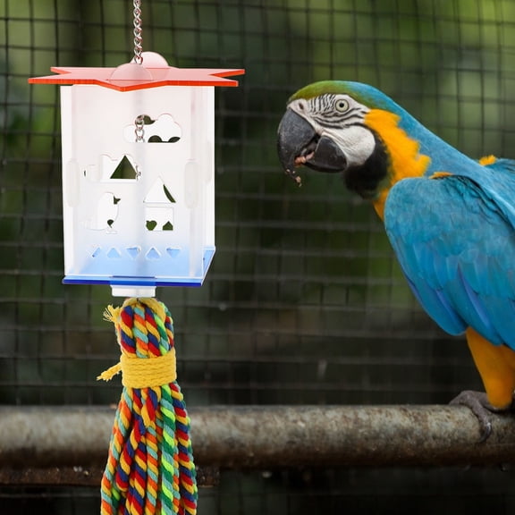 LULULION Parrot Foraging Feeder Swing Transparent Cotton Rope Acrylic for Pet Skill Training