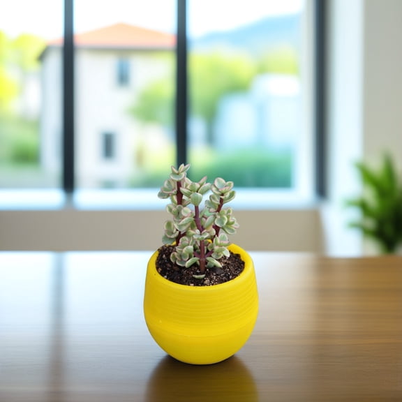 LULULION Pot for House Cactus Creative Flower Pot Resin Rosy 1Pack