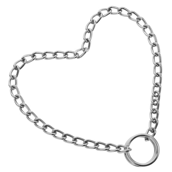 LULULION Lightweight Plated Silver Metal Pet Chain Collar for Small Dogs Comfortable Stylish Dog Neck Accessory