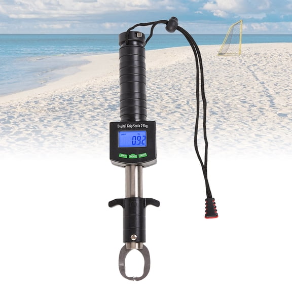 LULULION Digital Scale for Fishing with Comfortable ABS Handle and Automatic Shut-Off Feature