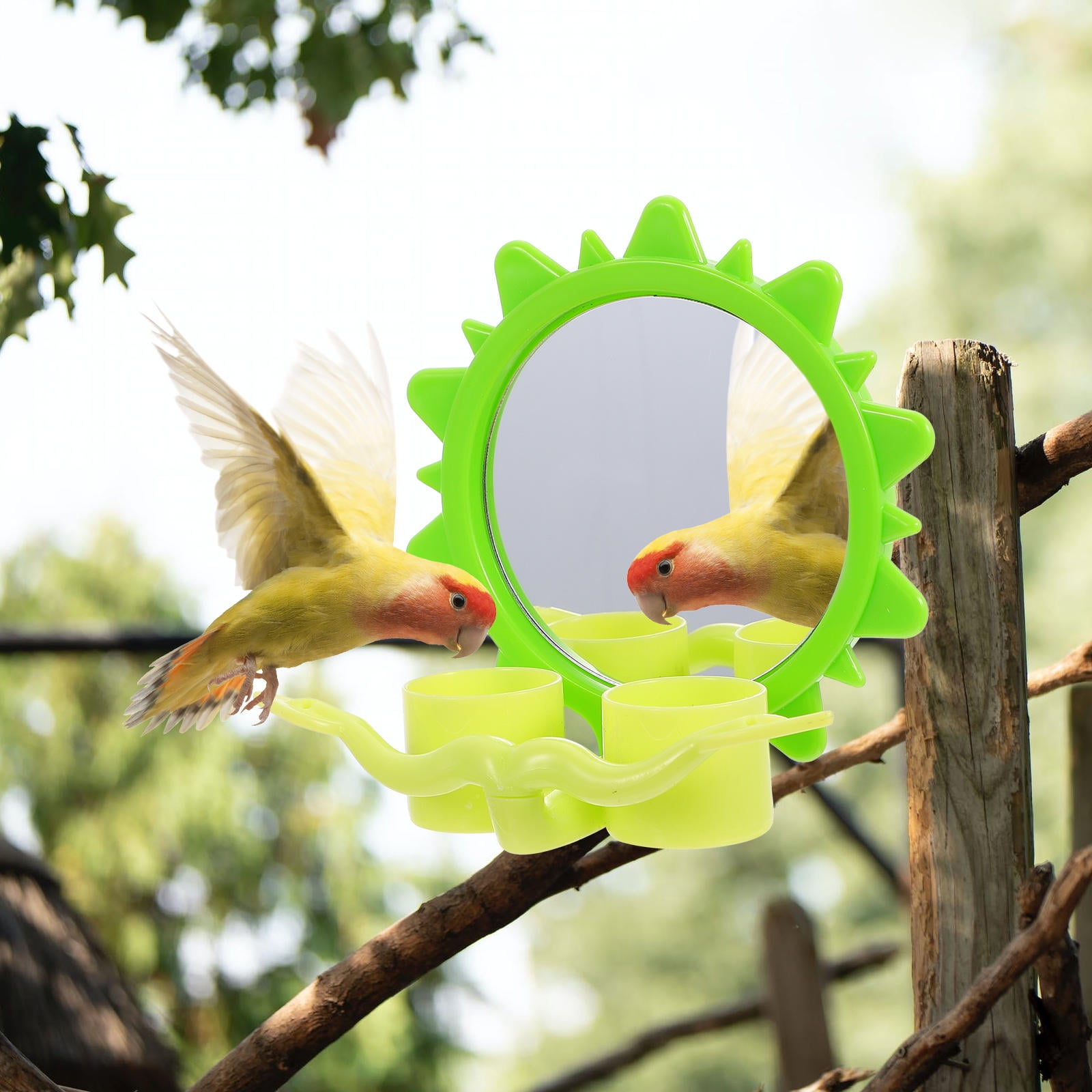 Foraging Container LULULION Birds Mirror Parrot Food Container Plastic with Perch Green ...