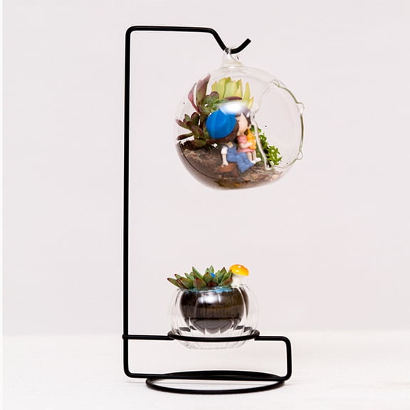 LULULION 5Pcs Black Glass Iron Hook Hydroponics Display Stand Hanging Frame for Ornament Decor