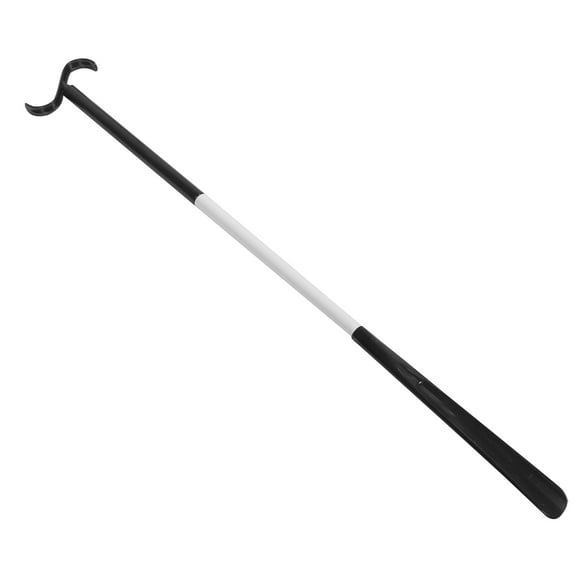 LULULION Multi Function Support Stick Shoe Assistance Black Abs 1Pcs