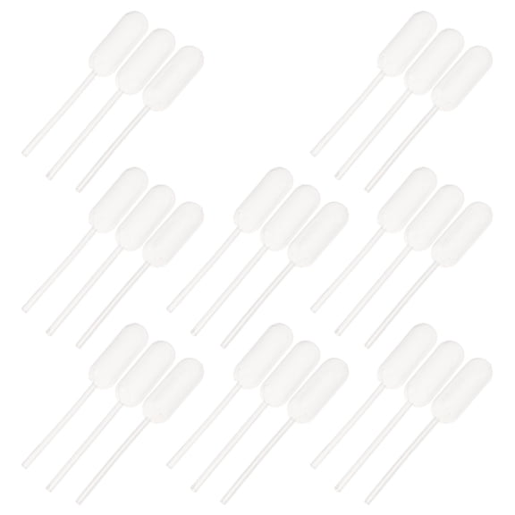 LULULION Disposable Plastic Pipettes 4Ml for Essential Oils and Lab Experiments