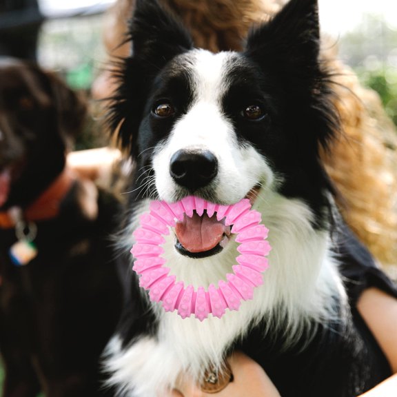 LULULION Pink Tpr Dog Throwing Circle for Chewing, Playing, and Training