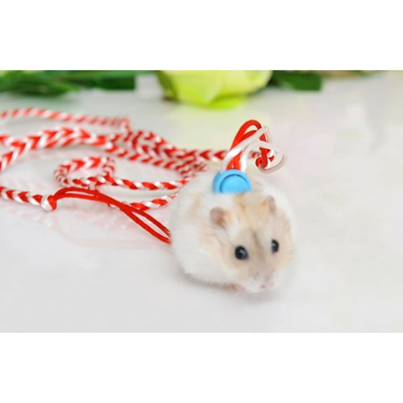 LULULION Comfortable Hamster Leash Vest with Quick Release Walking Lead for Small Pets