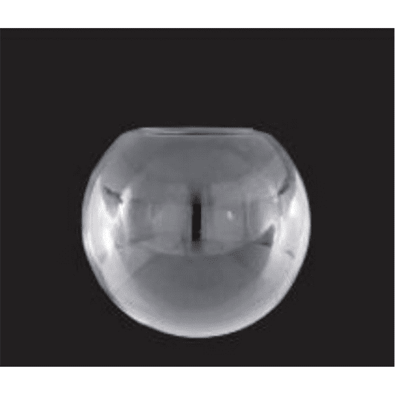 LUMINANCE 8-INCH CLEAR NICKLESS BALL 4-INCH OPENING
