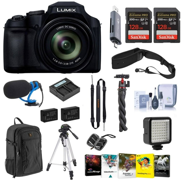Panasonic LUMIX FZ80D 18.1MP Point & Shoot Digital Camera, Bundle
