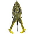 thumbnail image 1 of LUNKERHUNT Frog Fishing Lure for Bass Fishing | Realistic Frog Lure with Prop Action (Cane) | Best Topwater Lure Trout and Pike, Fish Bait with Hollow Body, Weedless Hooks, 1 of 6